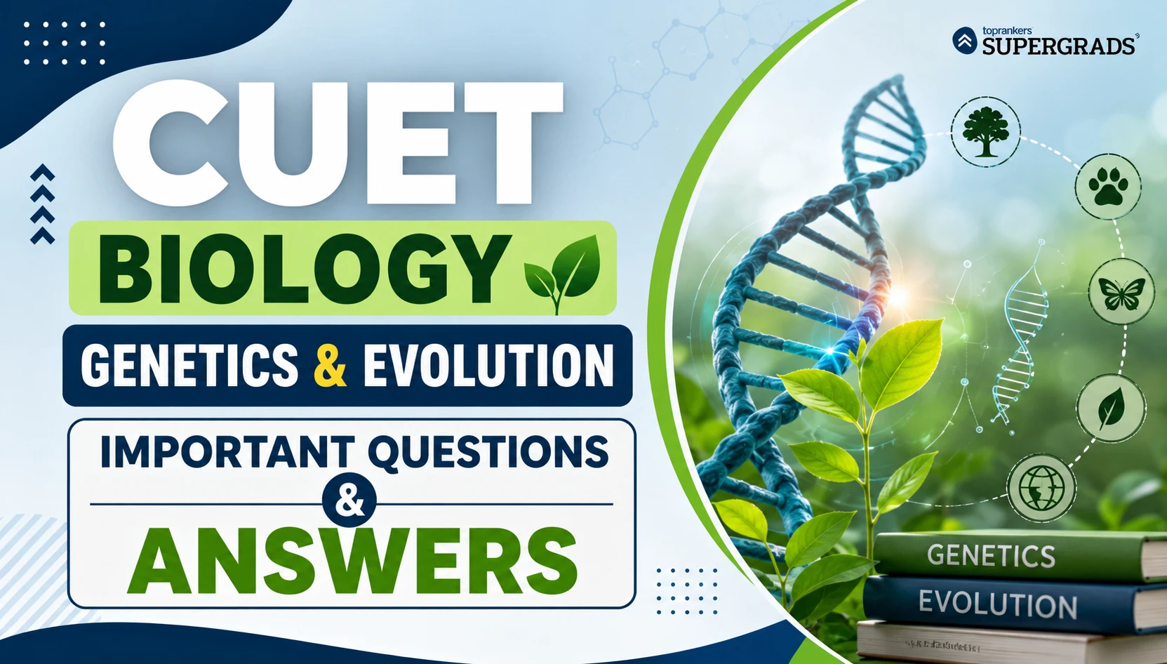  CUET Biology Genetics and Evolution Important Questions with Answers