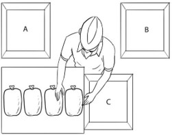 UCEED 2019 Scientific Awareness Question