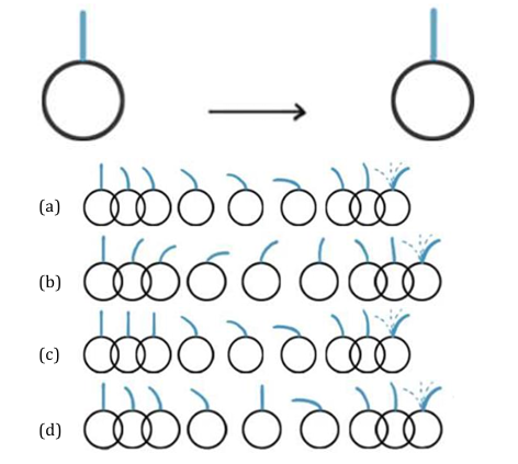 uceed past year question