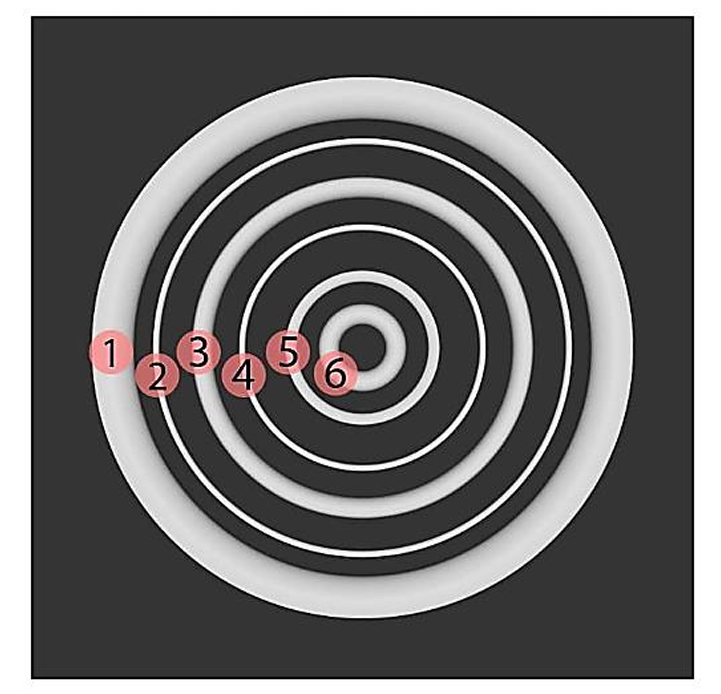 uceed past year question